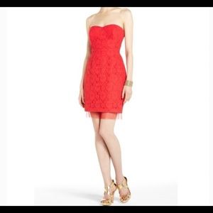Lace cocktail dress